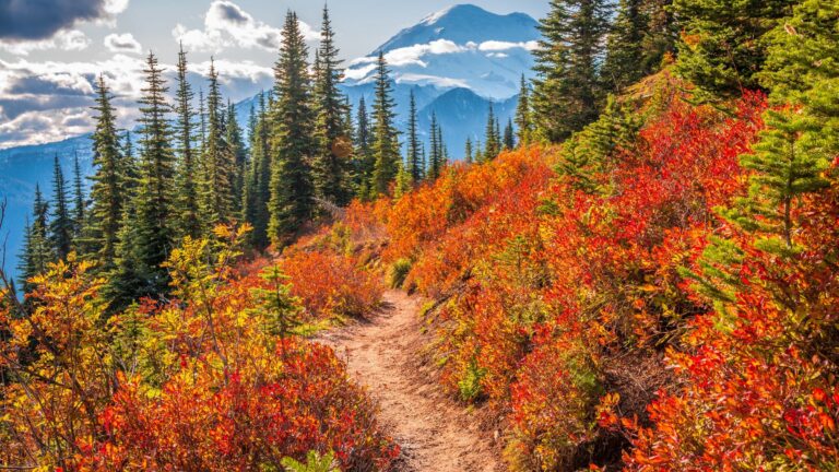 National Parks Fall Colors Calendar
